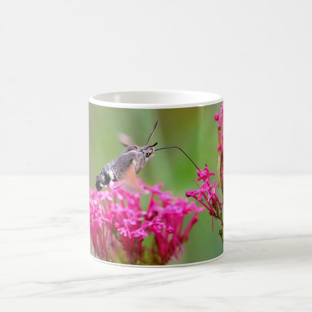 Hummingbird Hawk-moth butterfly in flight Coffee Mug (Center)