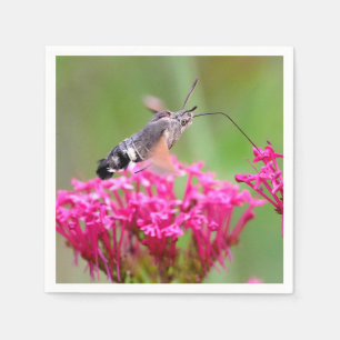 Hummingbird Hawk-moth butterfly in flight  Napkin
