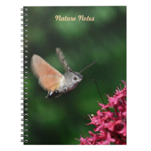 Hummingbird hawk-moth hovering notebook