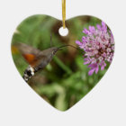 Hummingbird hawk-moth (Macroglossum stellatarum)