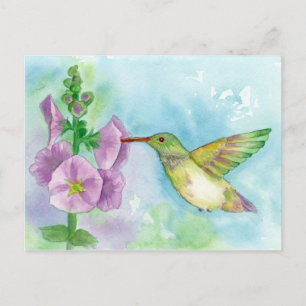 Hummingbird Hollyhocks Watercolor Painting Postcard