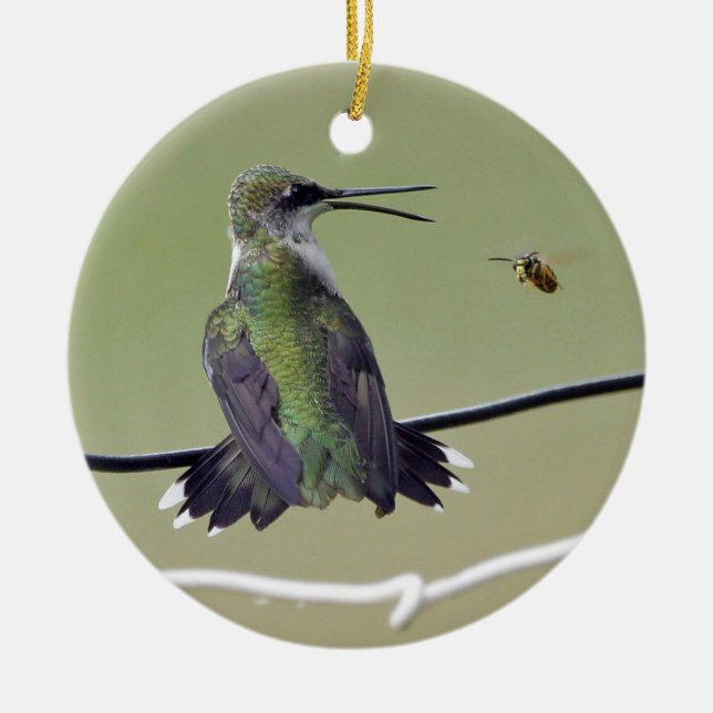 Hummingbird & Honey Bee Ceramic Tree Decoration (Front)