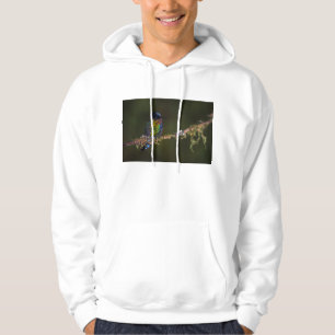 Hummingbird Hoodie