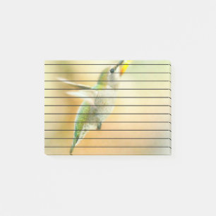 Hummingbird in Early Morning light Post-it Notes