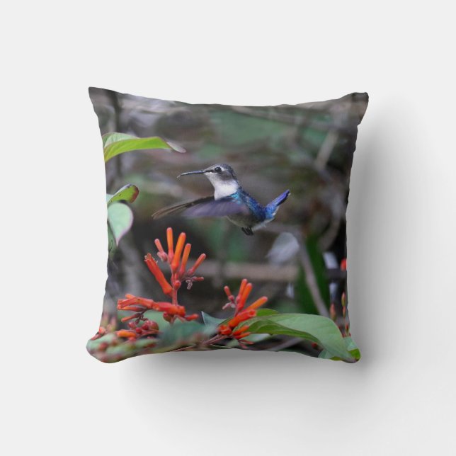 Hummingbird in Flight and Red Flowers Cushion (Front)