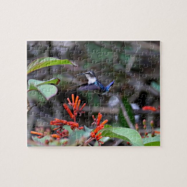 Hummingbird in Flight and Red Flowers Jigsaw Puzzle (Horizontal)