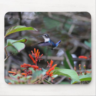 Hummingbird in Flight and Red Flowers Mouse Pad