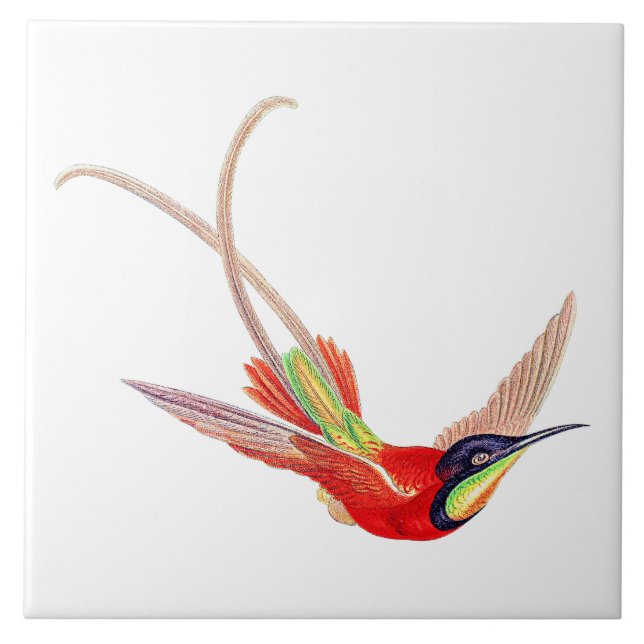 Hummingbird in Flight Ceramic Tile (Front)