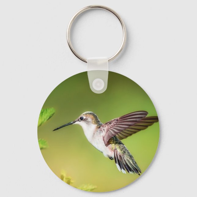 Hummingbird in flight key ring (Front)