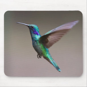 Hummingbird in Flight Mouse Pad