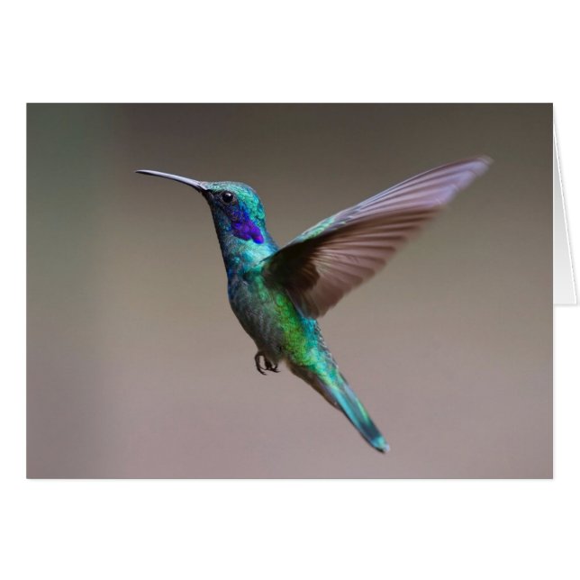 Hummingbird In Flight Note Card (Front Horizontal)
