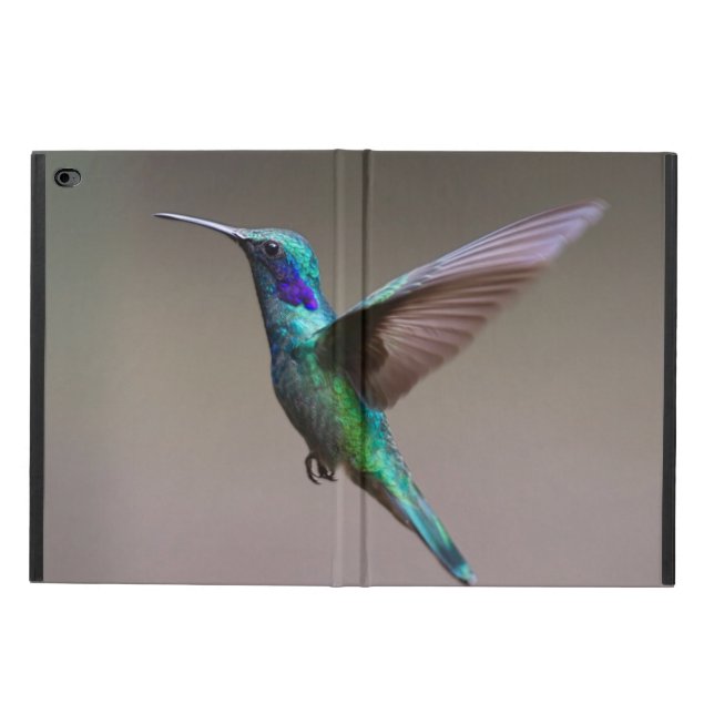 Hummingbird in Flight Powis iPad Air 2 Case (Outside)