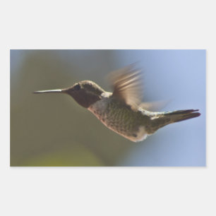 Hummingbird in Flight Rectangular Sticker