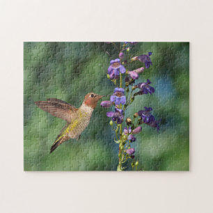 Hummingbird in Flight With Flower Jigsaw Puzzle