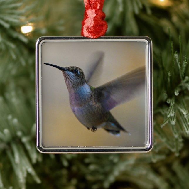 Hummingbird In Flutter Metal Ornament (Tree)