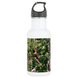 Hummingbird in Purple 532 Ml Water Bottle