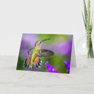 Hummingbird in Purple Flowers Card