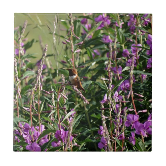 Hummingbird in Purple Tile (Front)