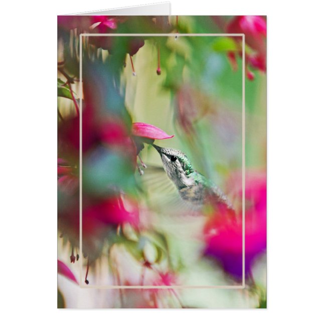 Hummingbird in Soft  Fuchsia Vertical. (Front)