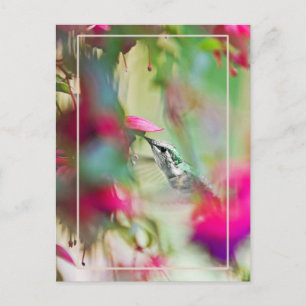 Hummingbird in Soft Fuchsia Vertical. Postcard