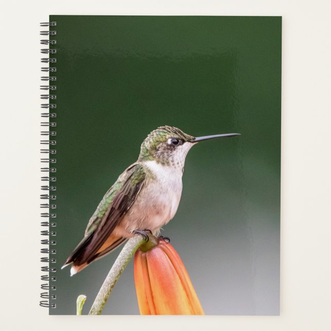 Hummingbird in the Hudson Valley 2024 Planner (Front)