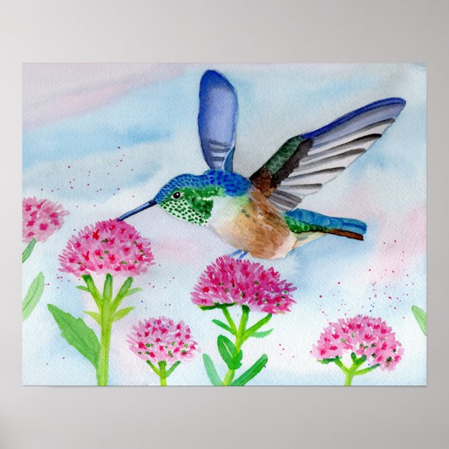 Hummingbird in Watercolor Poster (Front)