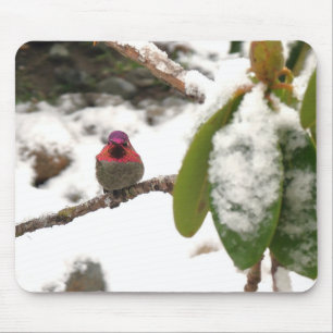 Hummingbird in Winter Mouse Pad