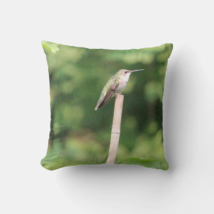 Hummingbird Inspired Design Cushion