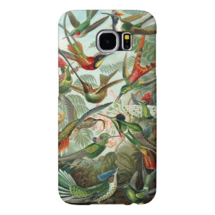 Hummingbird iPhone 6 case