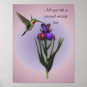 Hummingbird Iris Flower Personalised Poster