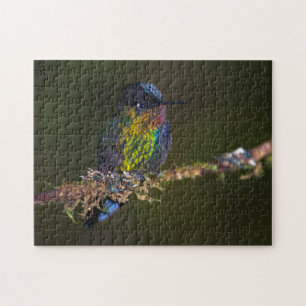 Hummingbird Jigsaw Puzzle