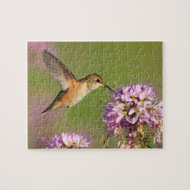 Hummingbird Jigsaw Puzzle (Horizontal)