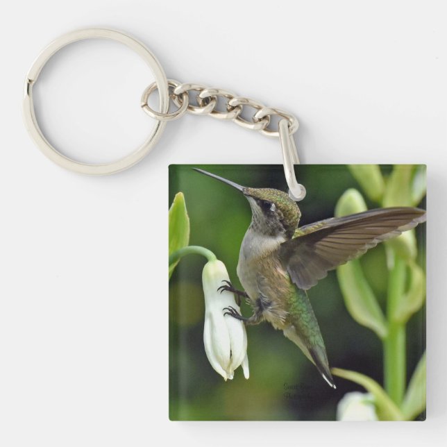 Hummingbird Key Ring (Front)