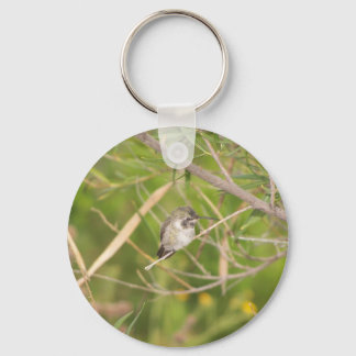 hummingbird key ring