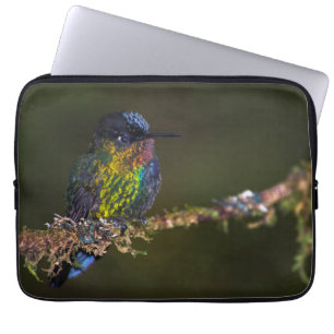Hummingbird Laptop Sleeve