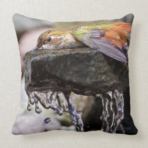 Hummingbird Laying in Water 2 Cushion
