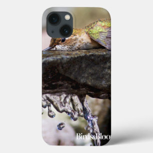 Hummingbird Laying in Water iPhone 13 Case