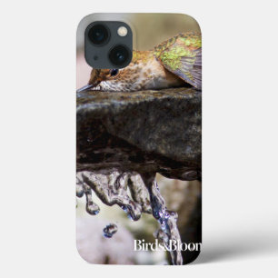 Hummingbird Laying in Water iPhone 13 Case