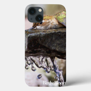 Hummingbird Laying in Water iPhone 13 Case
