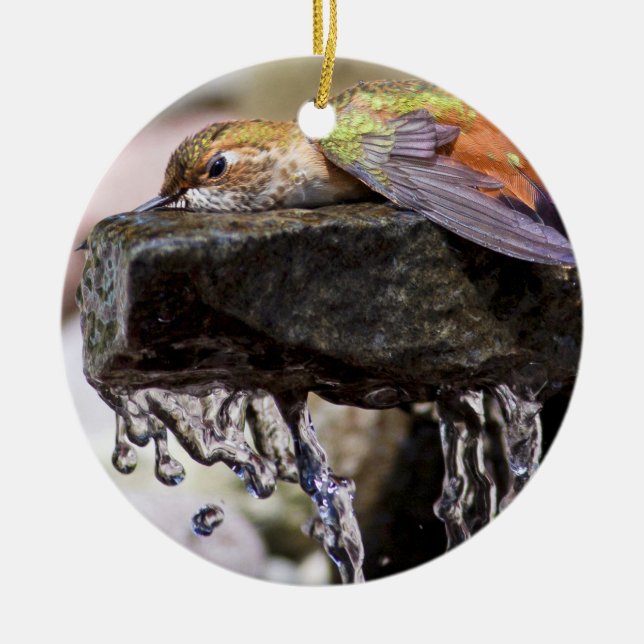 Hummingbird  Laying in Water Ceramic Ornament (Front)