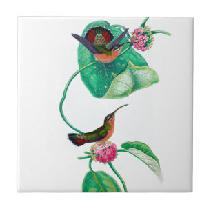 Hummingbird Love Tile