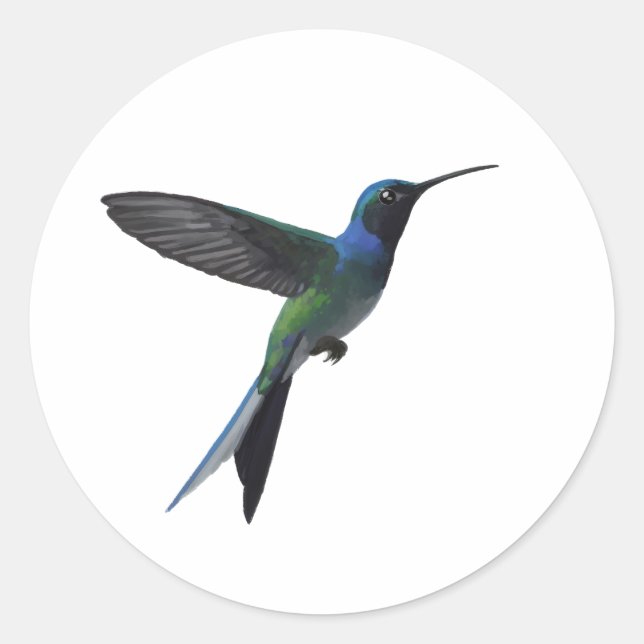 Hummingbird Lover Classic Round Sticker (Front)
