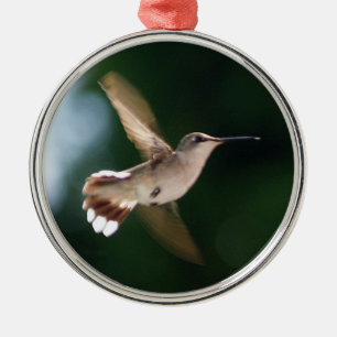 Hummingbird Lover Ornament