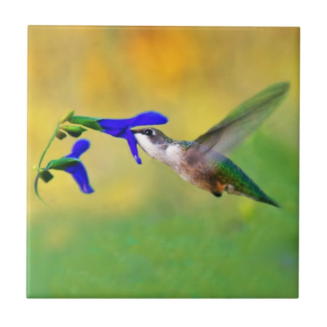 Hummingbird Lunch Ceramic Tile (Front)