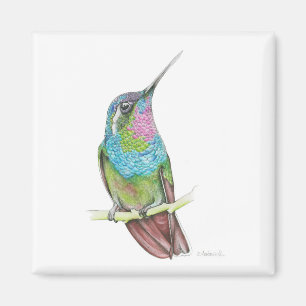 Hummingbird Magnet