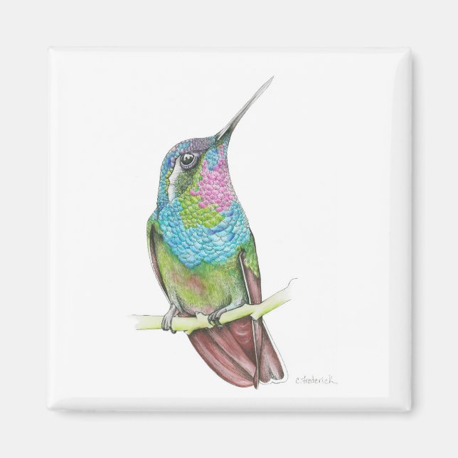 Hummingbird Magnet (Front)