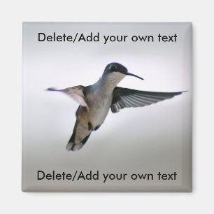 Hummingbird Magnet