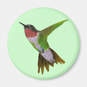 Hummingbird Magnet