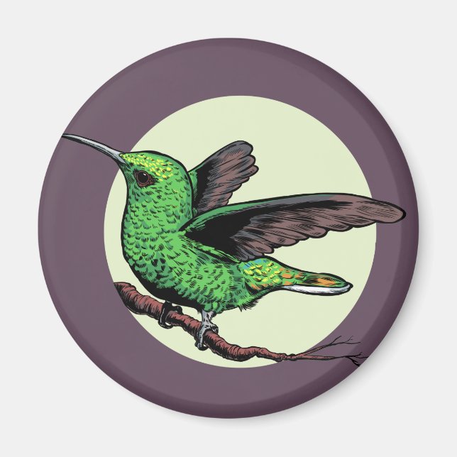 Hummingbird Magnet (Front)