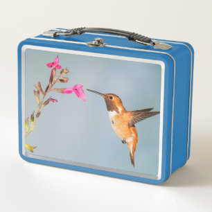 Hummingbird Metal Lunch Box